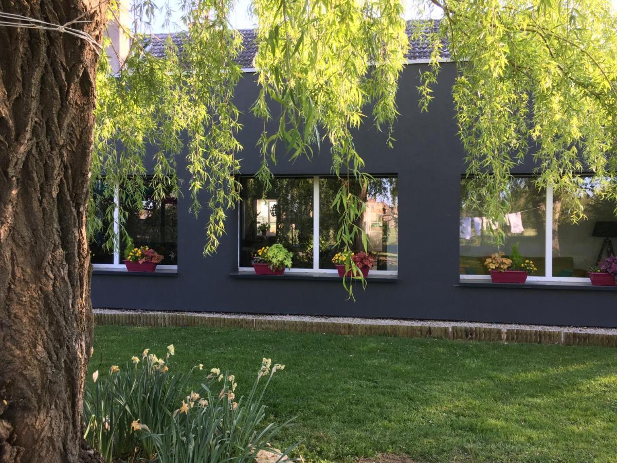 Agathe Et Titi Bed & Breakfast Marigny-les-Reullee